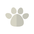 spay-icon